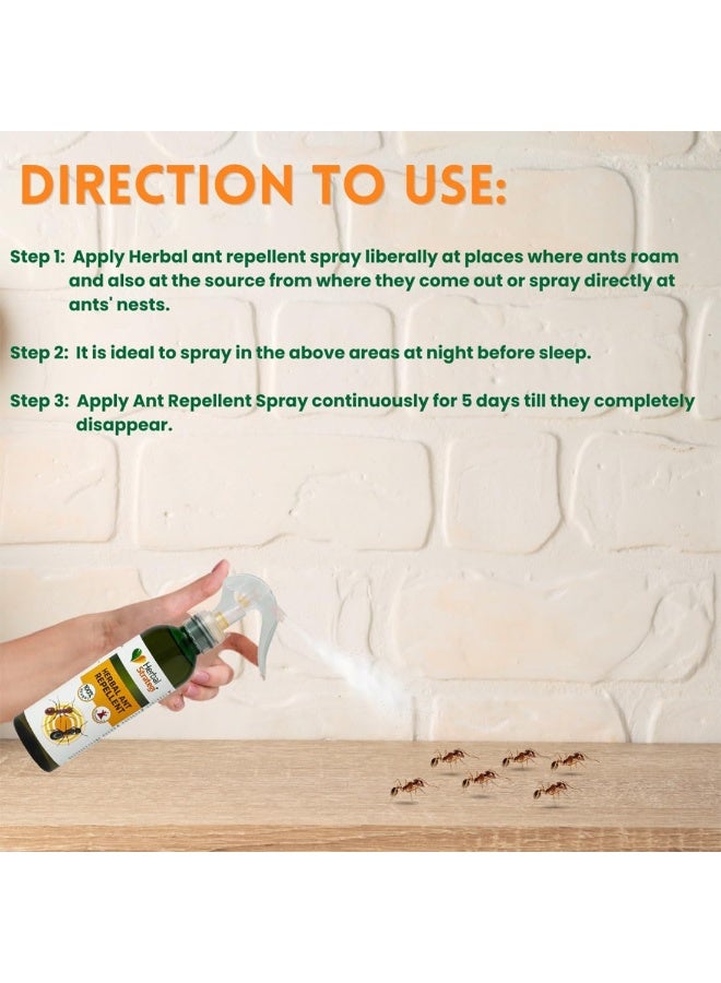 Herbal Strategi Herbal Strategi Ant Repellent Spray - 200ml | 100% Herbal & Ayurvedic Way to SHUU Ants Away | Guaranteed Results | Works on All Ant Types | For Home, Kitchen, Office & Garden - Image 3