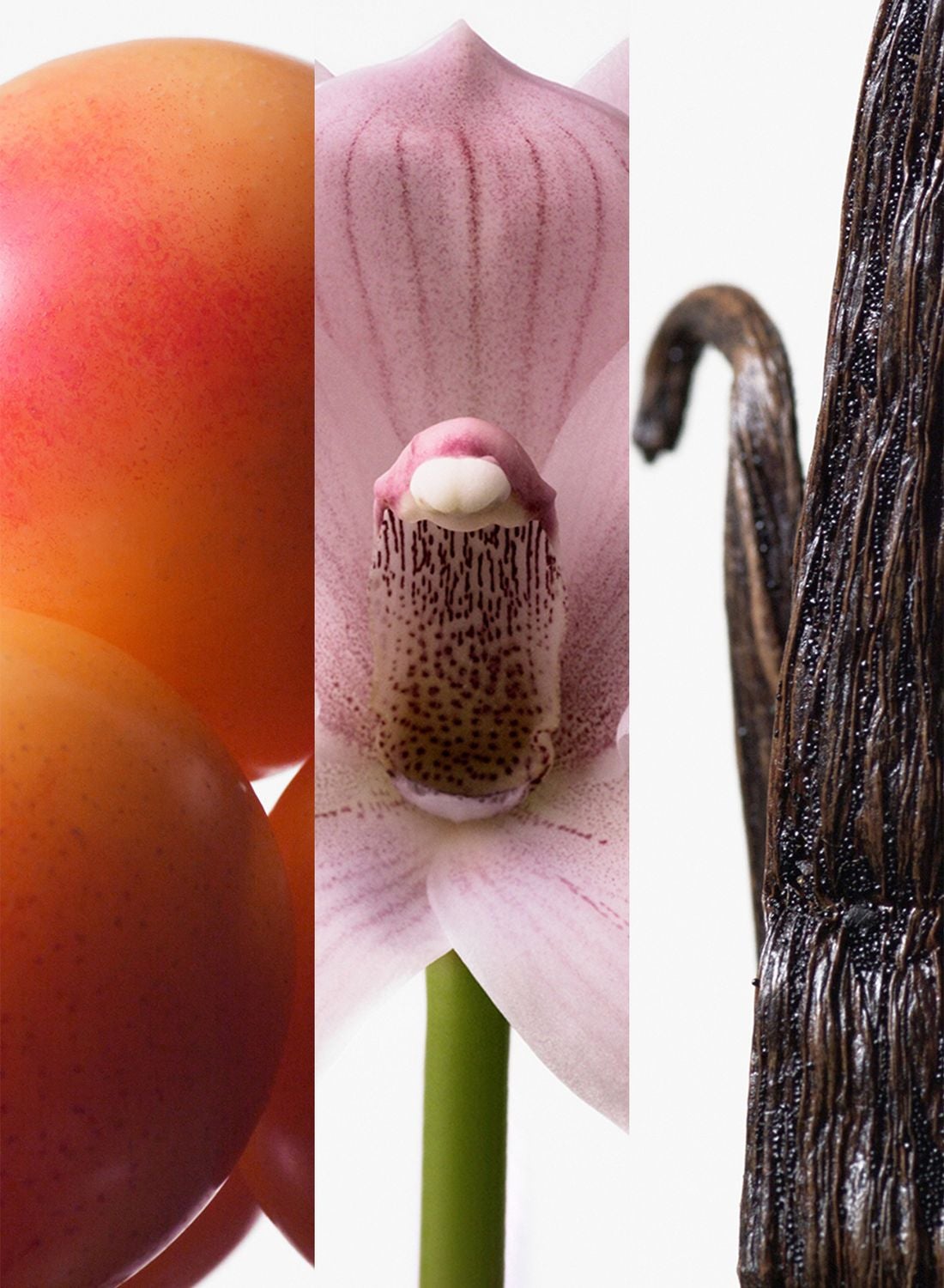 عطر كالفن كلاين ايفوريا او دو تواليت 100 مل