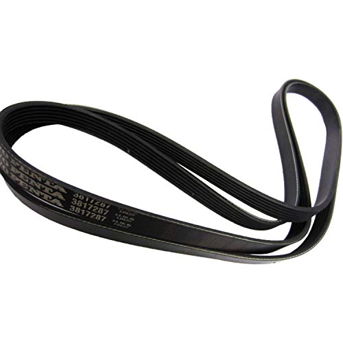 Volvo Penta Belt mfg Part Number 3889124 - Image 2