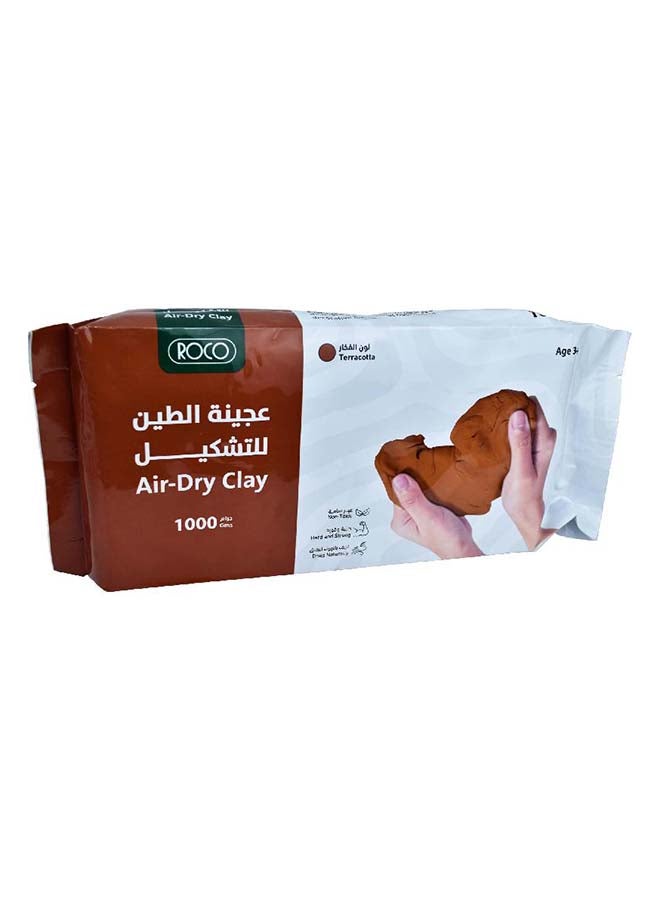 روكو جينة طين جاف بالهواء 1000 جرام