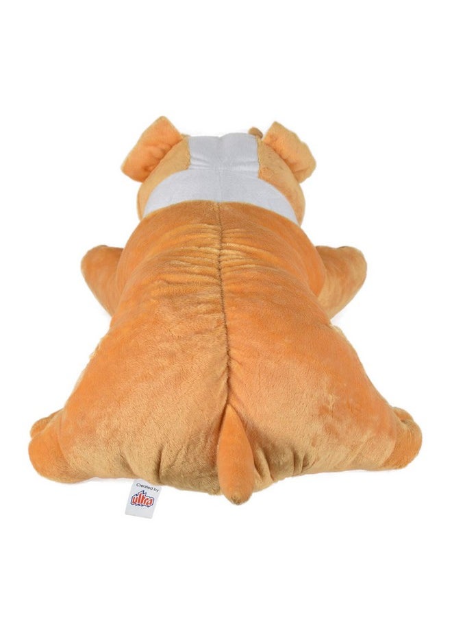 ERRECOM ERRECOM Ultra 16 Inch Bull Dog Fully Stuffed Soft Plush Toy for Kids in Beige| Animal Toy Birthday | Anniversary | Christmas | Diwali | Home Decor  - Image 4