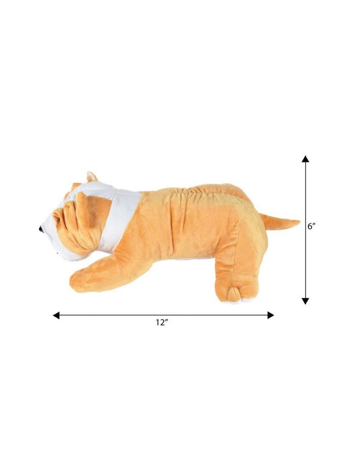 ERRECOM ERRECOM Ultra 16 Inch Bull Dog Fully Stuffed Soft Plush Toy for Kids in Beige| Animal Toy Birthday | Anniversary | Christmas | Diwali | Home Decor  - Image 5