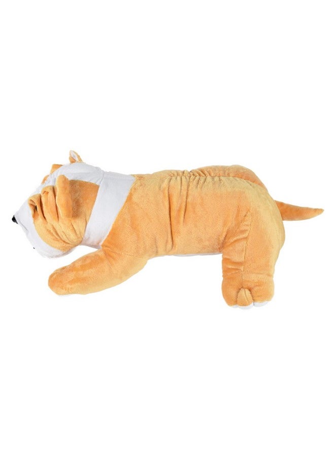 ERRECOM ERRECOM Ultra 16 Inch Bull Dog Fully Stuffed Soft Plush Toy for Kids in Beige| Animal Toy Birthday | Anniversary | Christmas | Diwali | Home Decor  - Image 3