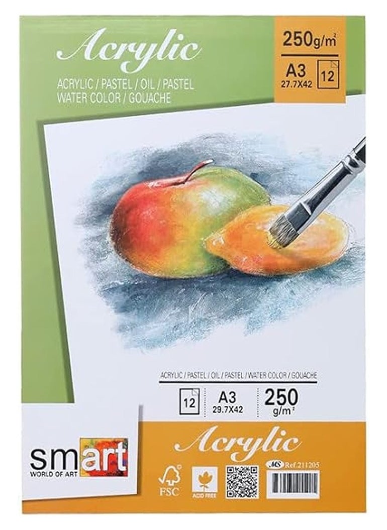 Smart Sketch A3 Smart Drawing Size 250g 12 Sheet - Ref.211205  - Image 1