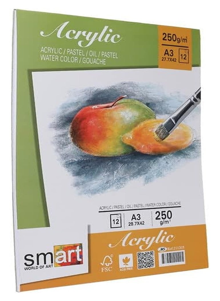 Smart Sketch A3 Smart Drawing Size 250g 12 Sheet - Ref.211205  - Image 2