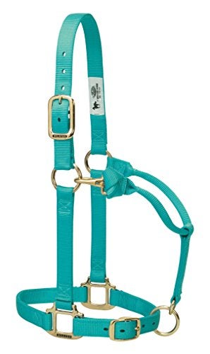 Weaver Leather Original Adjustable Nylon Horse Halter, Large Horse, Mint - Image 2