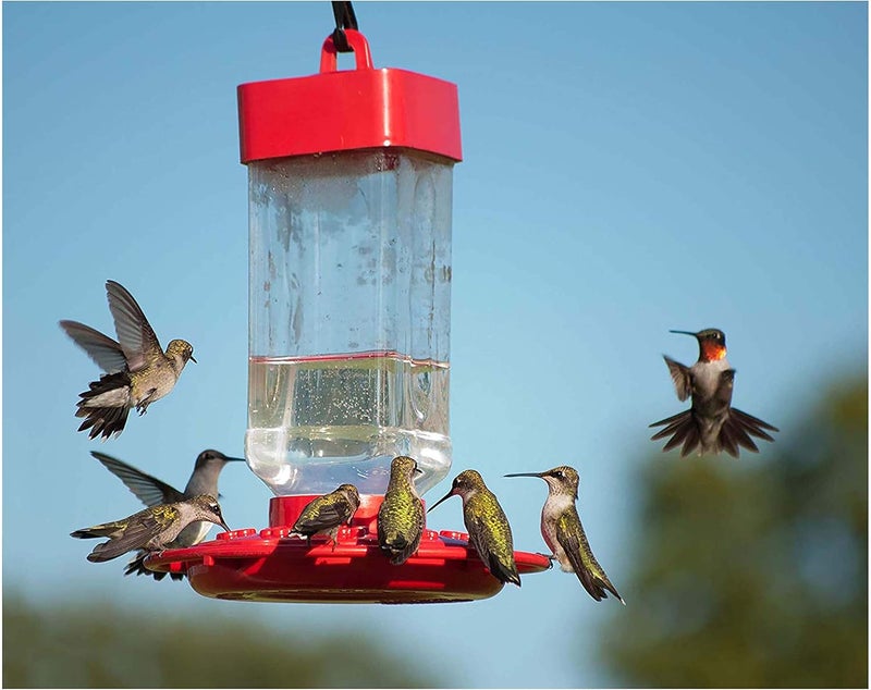 Kaytee Hummingbird ElectroNectar Wild Bird Food, Ready to Use, 64 Ounces - Image 4