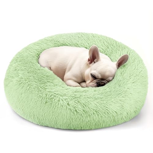 Hoewina Dog Cat Bed 20in Cat Beds for Indoor Cats Calming Donut Bed for Puppy and Kitten Washable Round Fluffy Pet Bed for Small Medium Dogs and Cats Green - Image 1