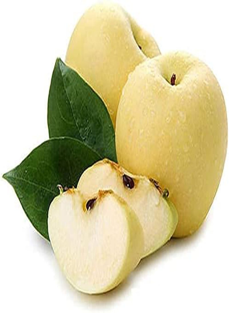 GGOOT 150Pcs Apple Seeds Indoor and Outdoor Planting Create an Indoor Garden Suitable for Novice Gardeners Cold-Resistant Rich Smell Fruits - Image 1