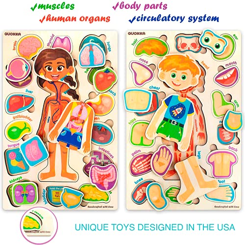QUOKKA Puzzles for Kids – Montessori Puzzles for Toddlers 3-5 – Preschool Game Learning Human Body Parts Anatomy Skeleton – Educational Toys for Boy & Girl - Image 2