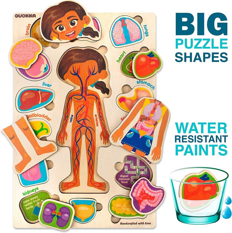 QUOKKA Puzzles for Kids – Montessori Puzzles for Toddlers 3-5 – Preschool Game Learning Human Body Parts Anatomy Skeleton – Educational Toys for Boy & Girl - Image 3