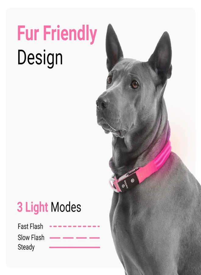 Tractive LED Light Up Dog Collar USB Rechargeable Waterproof (Pink) - Image 3