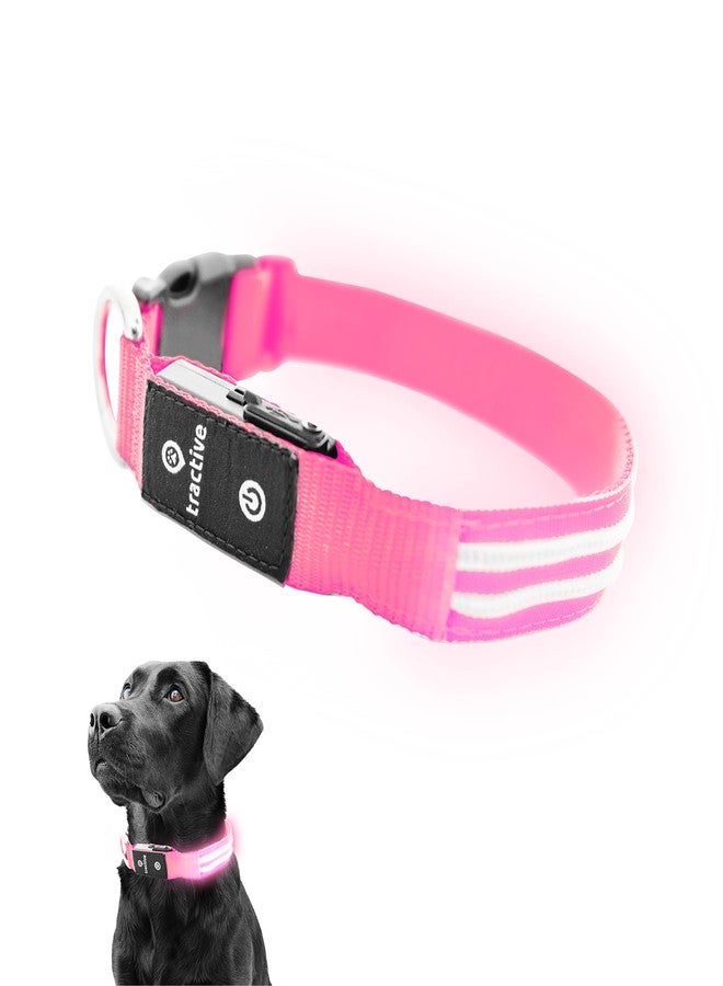 Tractive LED Light Up Dog Collar USB Rechargeable Waterproof (Pink) - Image 1