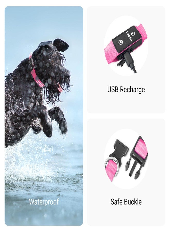 Tractive LED Light Up Dog Collar USB Rechargeable Waterproof (Pink) - Image 4