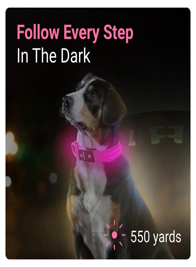 Tractive LED Light Up Dog Collar USB Rechargeable Waterproof (Pink) - Image 2