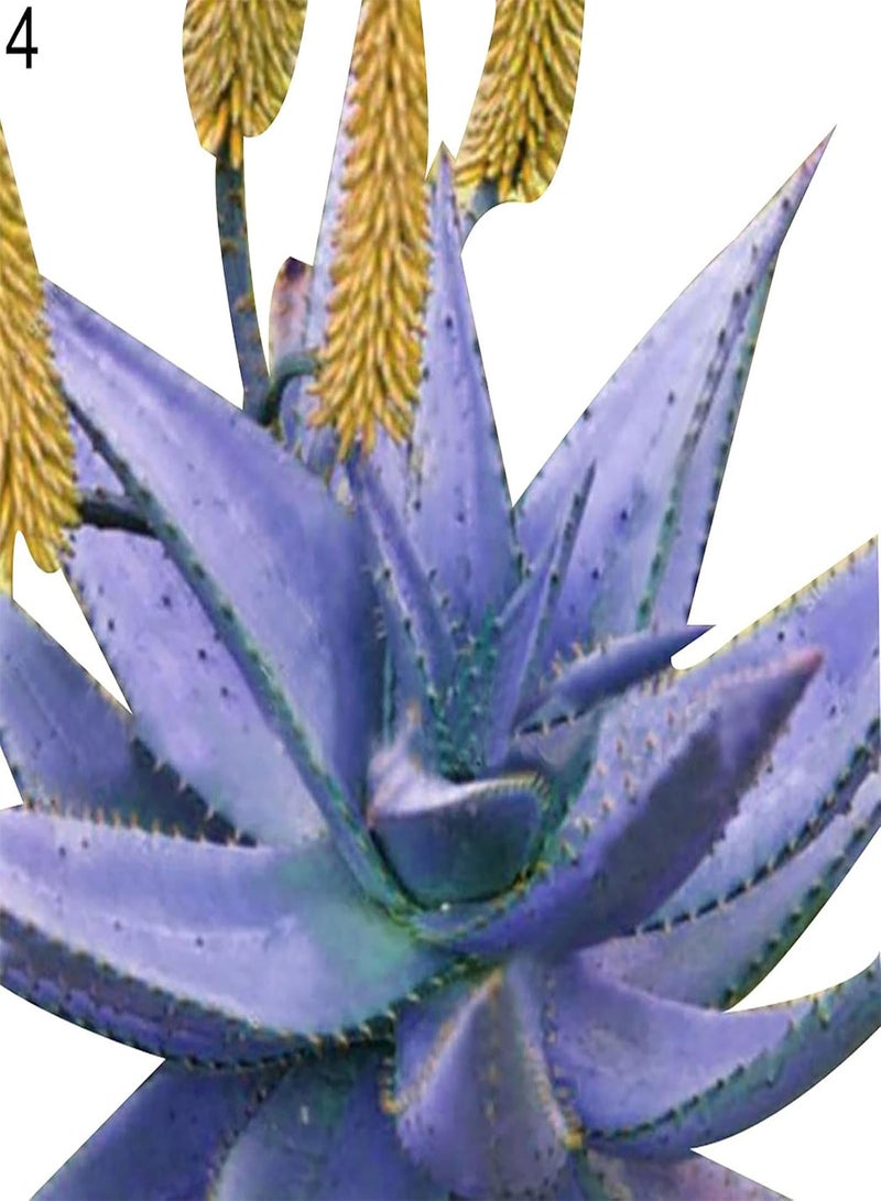 GGOOT Plant Seeds Flower Seeds100Pcs/Bag Rainbow Aloe Seeds Multi-Color Skin Care Water-Saving Strong Vitality Aloe Seeds for Bonsai Aloe Seeds for Home - Image 2