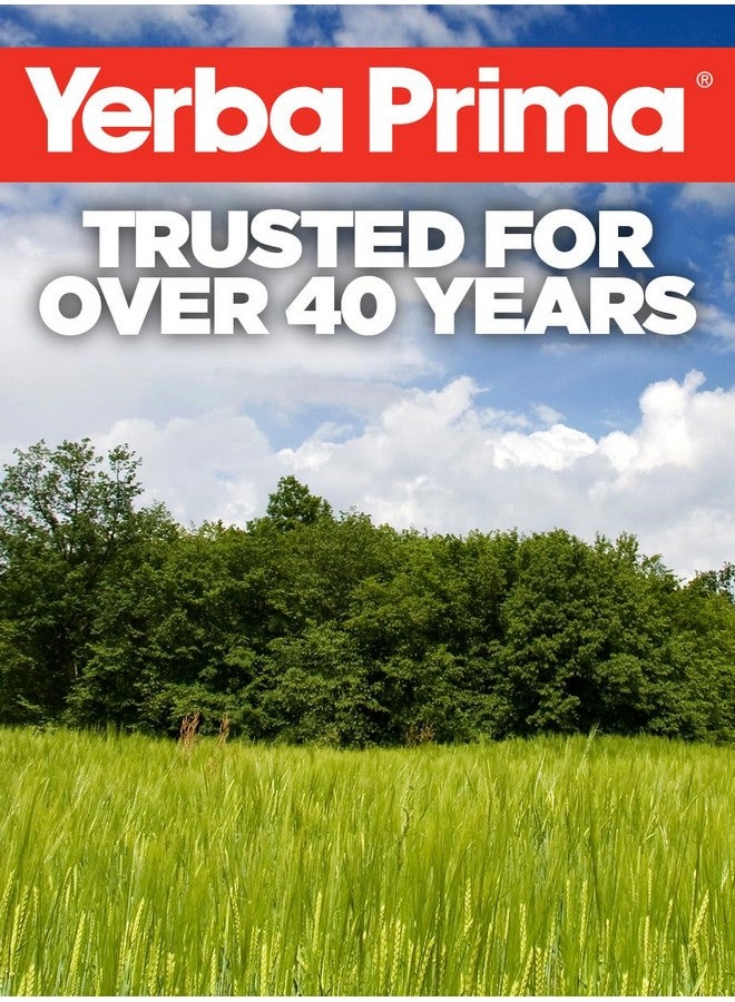 يربا بريما مسحوق الألياف اليومية من يربا بريما - 12 أونصة (عبوة من قطعتين) - مكمل غذائي من الألياف القابلة للذوبان وغير القابلة للذوبان - تطهير القولون - صحة الأمعاء - نباتي، غير معدّل وراثيًا، خالٍ من الجلوتين - Image 5