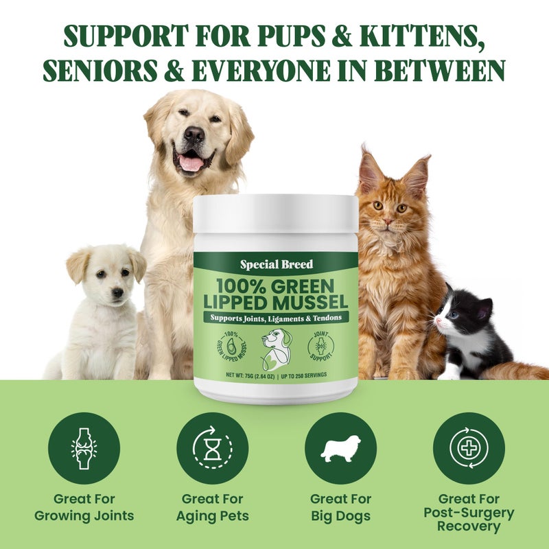 Special Breed Green Lipped Mussel Powder for Dogs & Cats - 100% New Zealand Green Lipped Mussels - Natural Hip & Joint Supplement for Joints, Tendons, Ligaments, Muscles - 75 Grams - Up to 250 Servings - Image 4