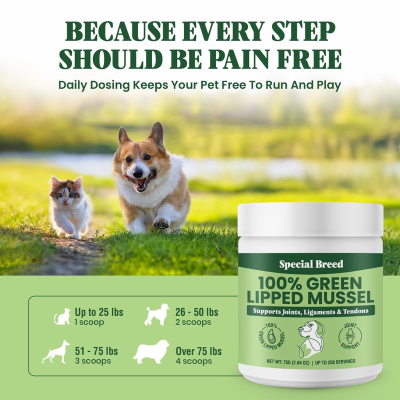 Special Breed Green Lipped Mussel Powder for Dogs & Cats - 100% New Zealand Green Lipped Mussels - Natural Hip & Joint Supplement for Joints, Tendons, Ligaments, Muscles - 75 Grams - Up to 250 Servings - Image 5