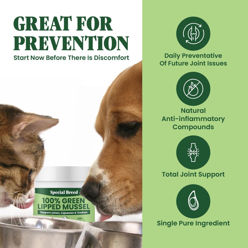 Special Breed Green Lipped Mussel Powder for Dogs & Cats - 100% New Zealand Green Lipped Mussels - Natural Hip & Joint Supplement for Joints, Tendons, Ligaments, Muscles - 75 Grams - Up to 250 Servings - Image 3