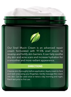NEW YORK BIOLOGY THE ULTIMATE COSMECEUTICALS New York Biology 97.5% Korean Snail Mucin Moisturizer - Face Cream 4 Fl Oz - 100 g - Face Moisturizer for Dry Skin - Skin Care Moisturizing and Hydrating Facial Moisturizer  - Image 2
