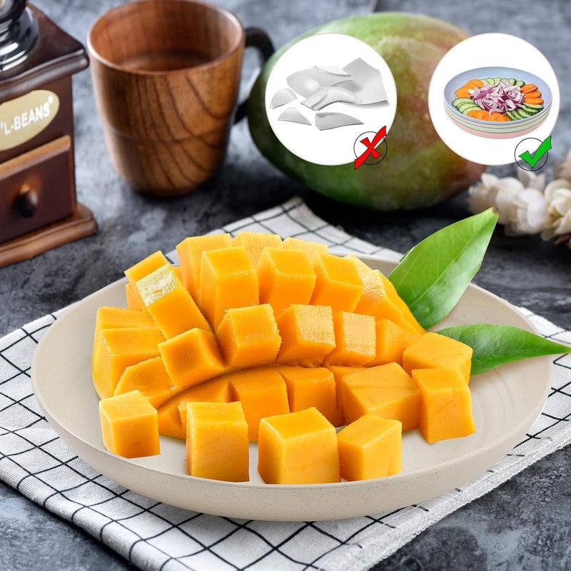 HEXONIQ® Lightweight Unbreakable Wheat Straw Plates - 8.8'' Large Dinner Plates - Non-Toxic Healthy Eco-Friendly Microwave Safe - Degradable Dessert Dishes Salad Fruit Snack Plates, Pack of 8 - Image 5