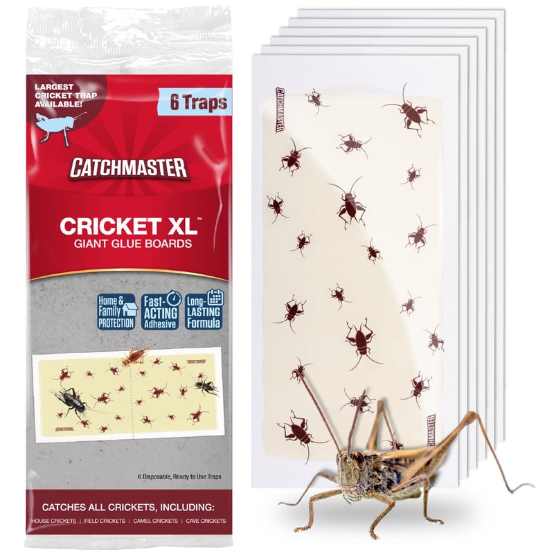 Catchmaster Cricket XL Giant Glue Boards 6-Pk, Adhesive Bug Catcher Cricket Traps Indoor, Sticky Trap for Inside Your Home, Bulk Insect Killer, Insect Traps for House & Garage, Pest Control for Home - Image 1