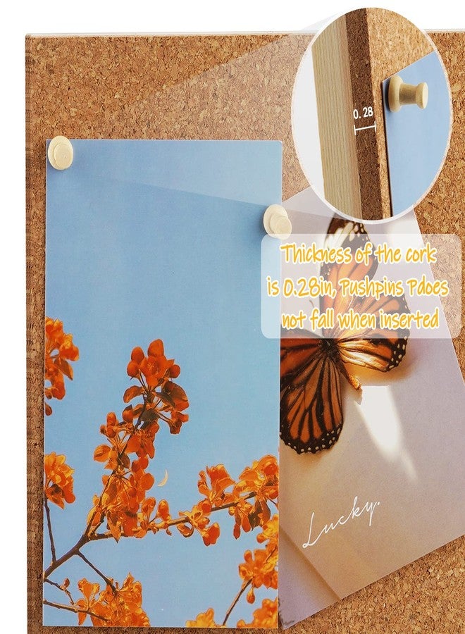 Trycooling Bulletin Board/Cork Board on The Desktop-Small Mini Hanging Tack Message Memo Picture Board for Home Office School - Image 4