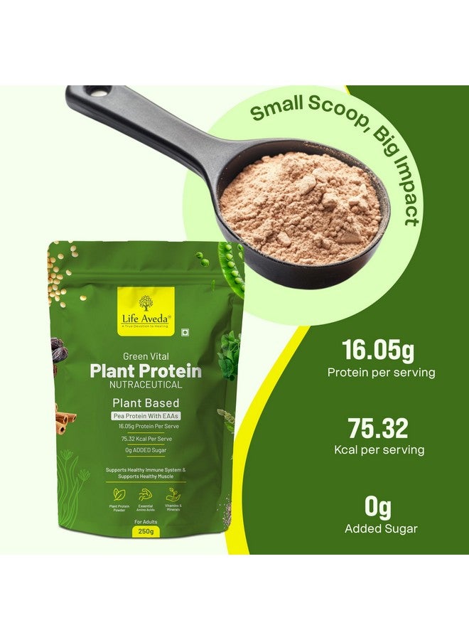 Life Aveda باودر بروتين نباتي أخضر من لايف أفيدا | 16.05 جرام بروتين مع الأحماض الأمينية الأساسية | بروتين عزل من البازلاء، الأرز البني، الصويا، التمر المجفف، مسحوق بذور الشيا ودقيق الشوفان | امتصاص سريع، سهل الهضم - 250 جرام (عبوة من 1) - Image 2