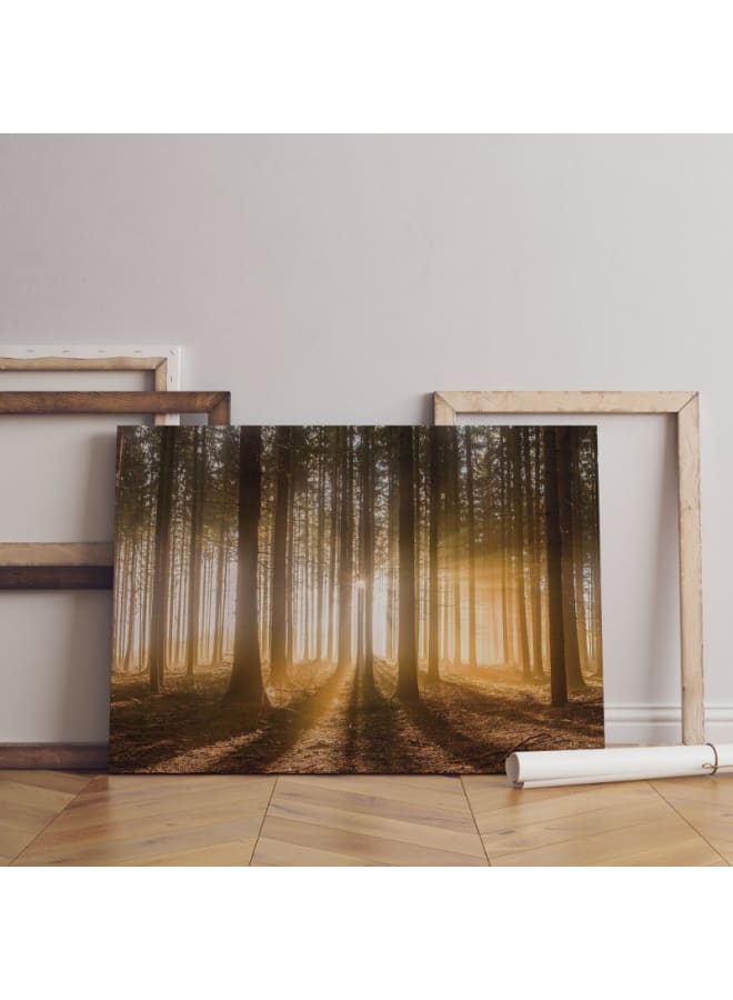 Home Gallery A forest with the sun shining through the clouds Canvas Wall Art 120x80 - Image 1