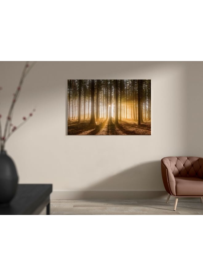 Home Gallery A forest with the sun shining through the clouds Canvas Wall Art 120x80 - Image 4