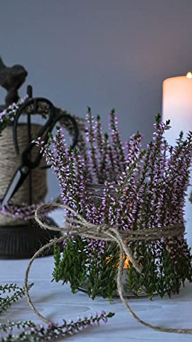 Esschert Design USA TG214 Garden Twine and Scissors - Image 5