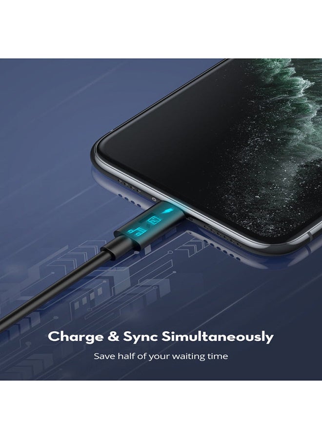 راف باور كابل موصل بمنفذ USB من Type-C إلى Lightning أسود - Image 3