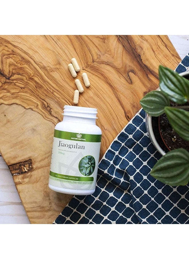 Nature Restore Jiaogulan Extract Supplement Our Gynostemma Pentaphyllum Is Standardized To 98 Percent Gypenosides Natural Ampk Activator Non Gmo Gluten Free 90 Gynostemma Capsules Vegan  - Image 5