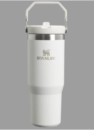 IceFlow Flip Straw Water Bottle with Straw 0.88L – Keeps Cold for 12+ Hours – Leakproof Stainless Steel – BPA-Free Travel Mug – Easy to Carry, Dishwasher Safe – Frost Color, Ideal for Gym, Office, & Outdoor Adventures - pzsku/ZCF31EB12DDA00501F403Z/45/_/1739826952/4182a4f0-0c7e-4595-8278-7195b1cf3e2c