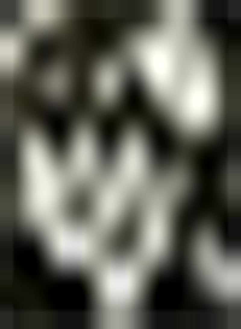 GGOOT 6Stück weiße Zephyranthes Zwiebeln Staude schöne Regenlilie geeignet für Hausgarten Dekoration drinnen draußen kultiviert Einfach zu pflanzen - Image 2