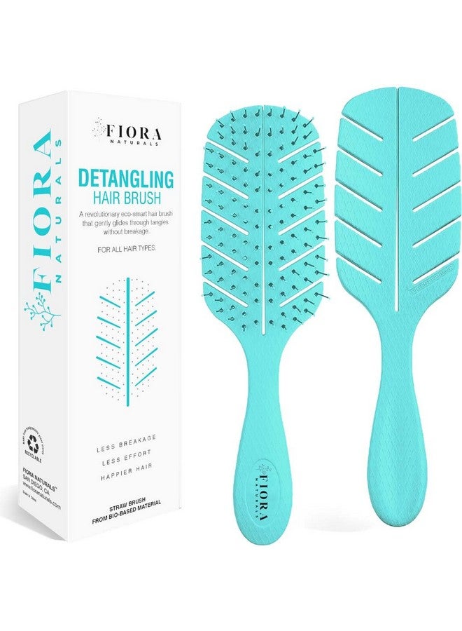 فيورا ناتشيورالز فرشاة فك تشابك الشعر من فيورا ناتشورالز - فرشاة فك تشابك الشعر صديقة للبيئة بنسبة 100% بشعيرات فائقة النعومة - تنزلق بسهولة خلال التشابك - للشعر المجعد والناعم والأسود الطبيعي، للنساء والرجال والأطفال - للشعر الجاف والمبلل - Image 1