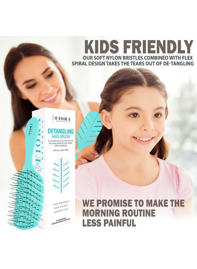 فيورا ناتشيورالز فرشاة فك تشابك الشعر من فيورا ناتشورالز - فرشاة فك تشابك الشعر صديقة للبيئة بنسبة 100% بشعيرات فائقة النعومة - تنزلق بسهولة خلال التشابك - للشعر المجعد والناعم والأسود الطبيعي، للنساء والرجال والأطفال - للشعر الجاف والمبلل - Image 4