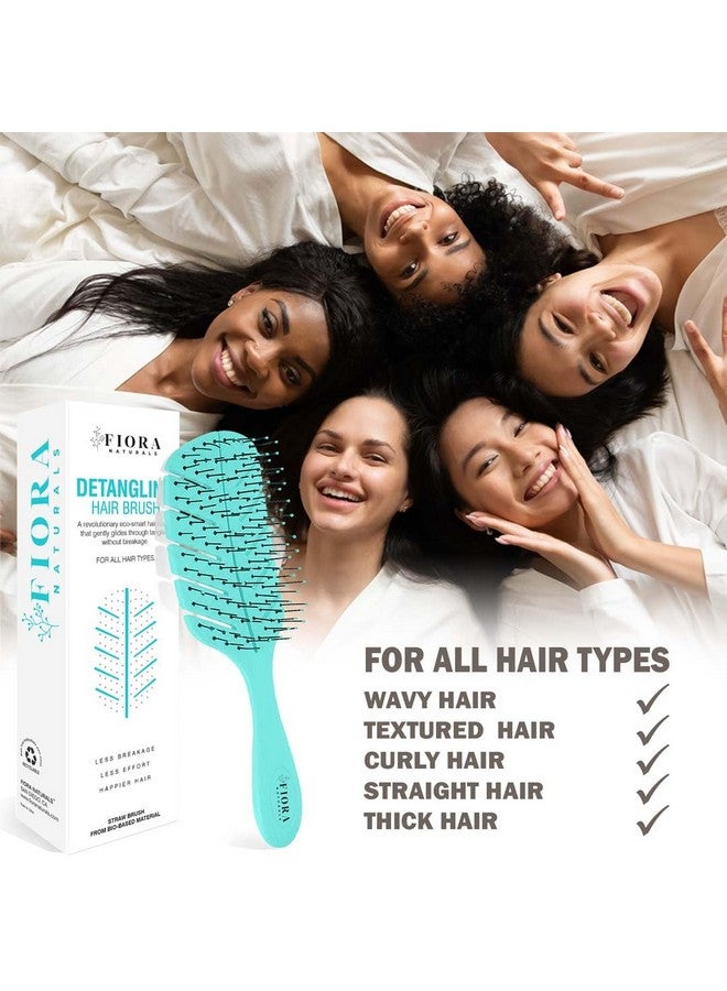 فيورا ناتشيورالز فرشاة فك تشابك الشعر من فيورا ناتشورالز - فرشاة فك تشابك الشعر صديقة للبيئة بنسبة 100% بشعيرات فائقة النعومة - تنزلق بسهولة خلال التشابك - للشعر المجعد والناعم والأسود الطبيعي، للنساء والرجال والأطفال - للشعر الجاف والمبلل - Image 5