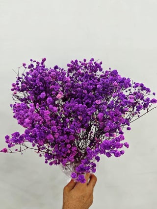 FLUSHIA Pack of 1Bunch Artificial Gypsy Flowers Sticks for Home Decorative Baby Breaths Naturally Dried Flowers for Vase Filler for Home Decor Indoor Office DecorWedding BridalParty Puple - pzsku/ZCF384D918C510FCE8FEDZ/45/1745821315/9d6e33e3-dc1d-4e31-ade2-14e04d97ac3b