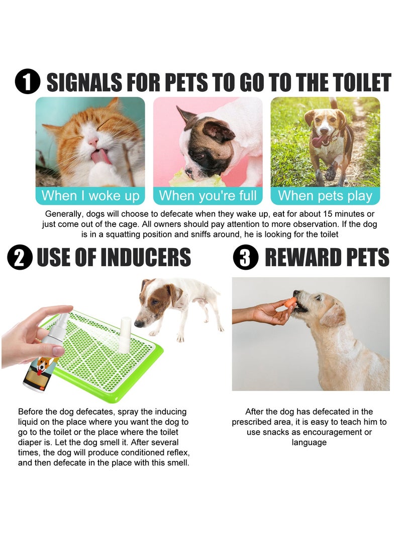 YEGBONG Pet toilet training spray Fixed-point defecation training spray - Image 4