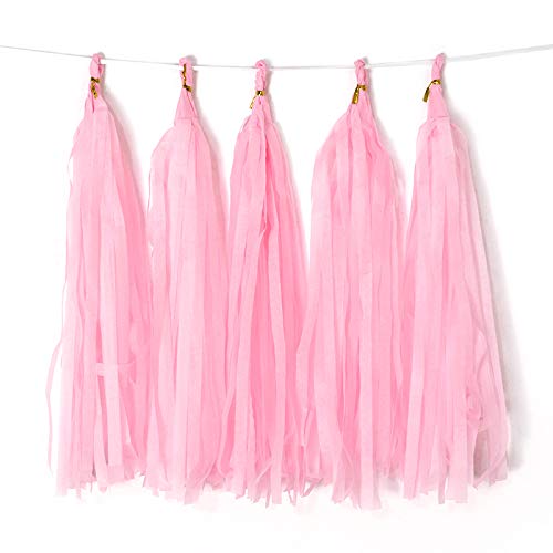 Binpeng Pink Tissue Paper Tassel DIY Hanging Paper Decorations Party Garland for Parties Weddings Festivals Baby Showers 20PCS PINK 35CM