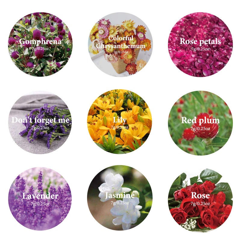 SACATR 9 Bags Dried Flowers,100% Natural Dried Flowers Herbs Kit for Soap Making, DIY Candle Making,Bath - Include Rose Petals,Lavender,Don't Forget Me,Lilium,Jasmine,Rosebudsand More - Image 2