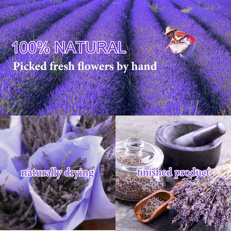 SACATR 9 Bags Dried Flowers,100% Natural Dried Flowers Herbs Kit for Soap Making, DIY Candle Making,Bath - Include Rose Petals,Lavender,Don't Forget Me,Lilium,Jasmine,Rosebudsand More - Image 3