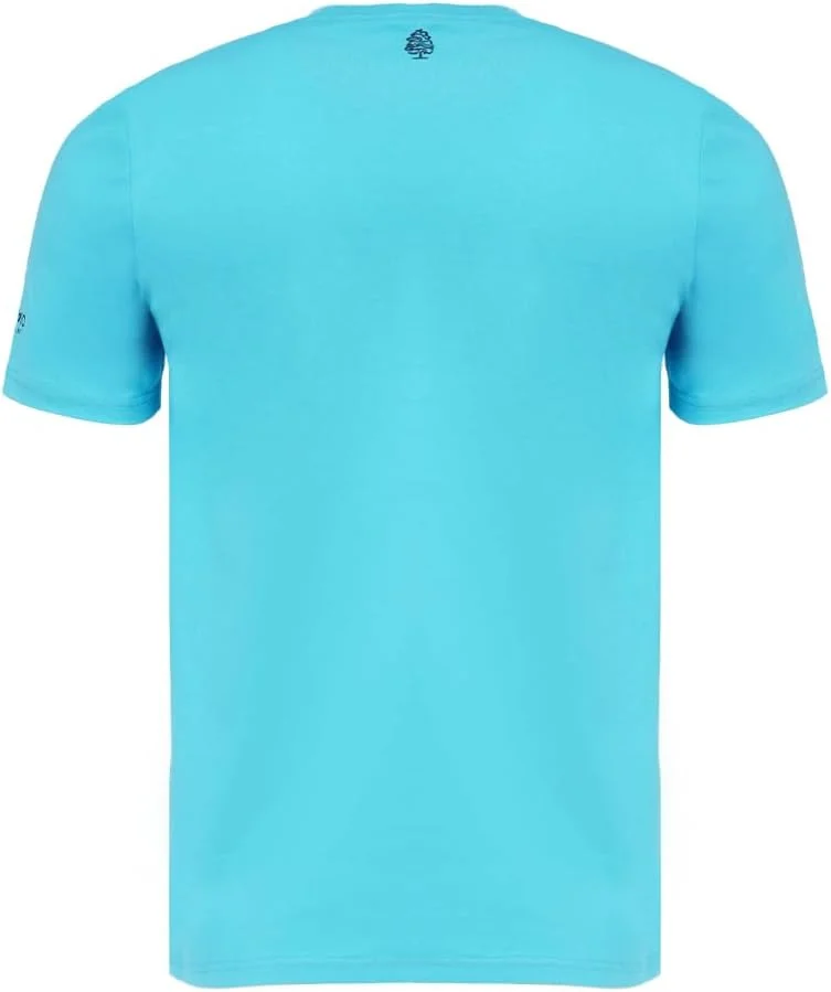 Cedro CEDRO Regular Fit Men's Crew Neck T-Shirt in Aqua Blue