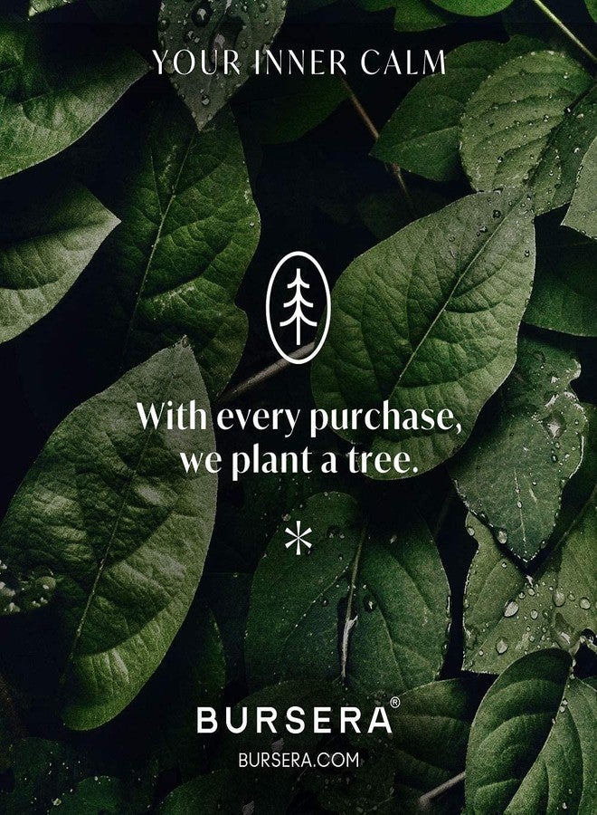 Bursera Terracotta Palo Santo Holder, Tree Planted with Every Order, Ceramic Palo Santo Burner Wood Stand, Incense Stick Burning Tray - Image 4