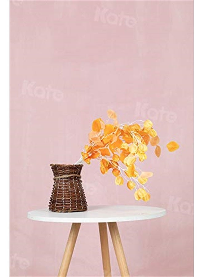 Kate 6ft×9ft Solid Light Pink Backdrop Portrait Photography Background for Photography Studio Children and Headshots Light Pink Backdrop Background for Photography Photo Booth - Image 5