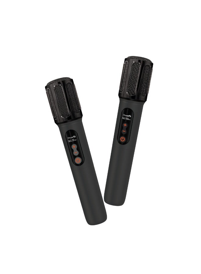 PARTY SPEAKER WIRELESS MIC - Image 2