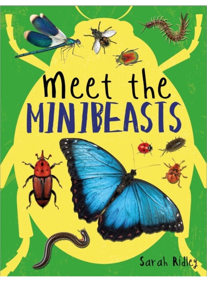 Meet the Minibeasts - Hardback