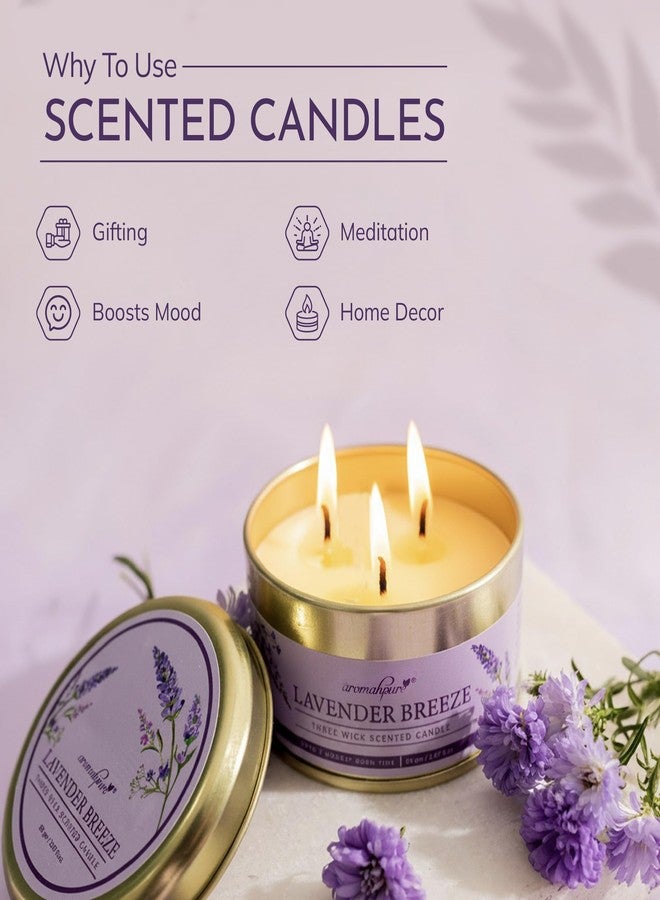 Aromahpure Lavender 3 Wick Candle in Container with Lid | 85g | Burn Time 7 Hours | Scented Candle | Relaxing Aromatherapy Candles for Home Décor, Gifting, Bedroom & Spa - Image 5